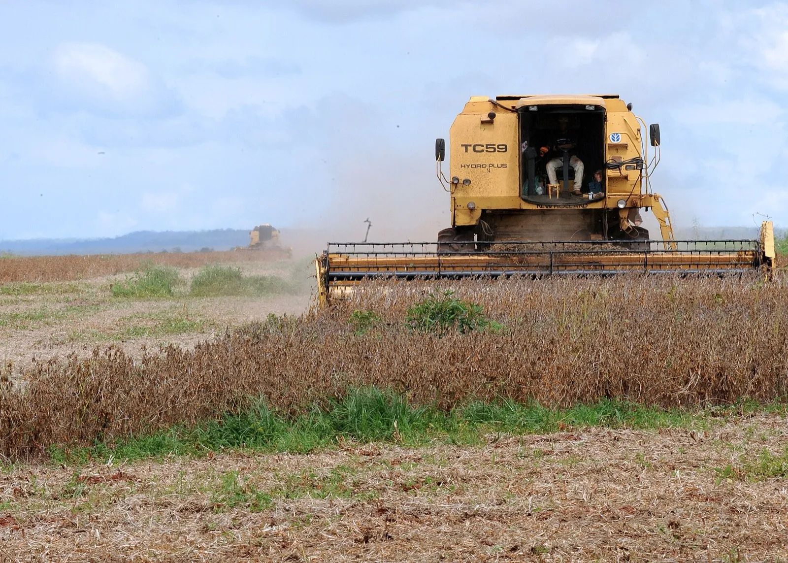Colheitadeira amarela trabalha em lavoura de soja em colheita, com outra máquina ao fundo, em Rondonópolis (MT)